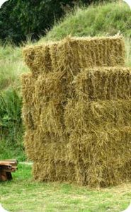 straw-bales to represent the alternate theme 2-year anniversary of straw